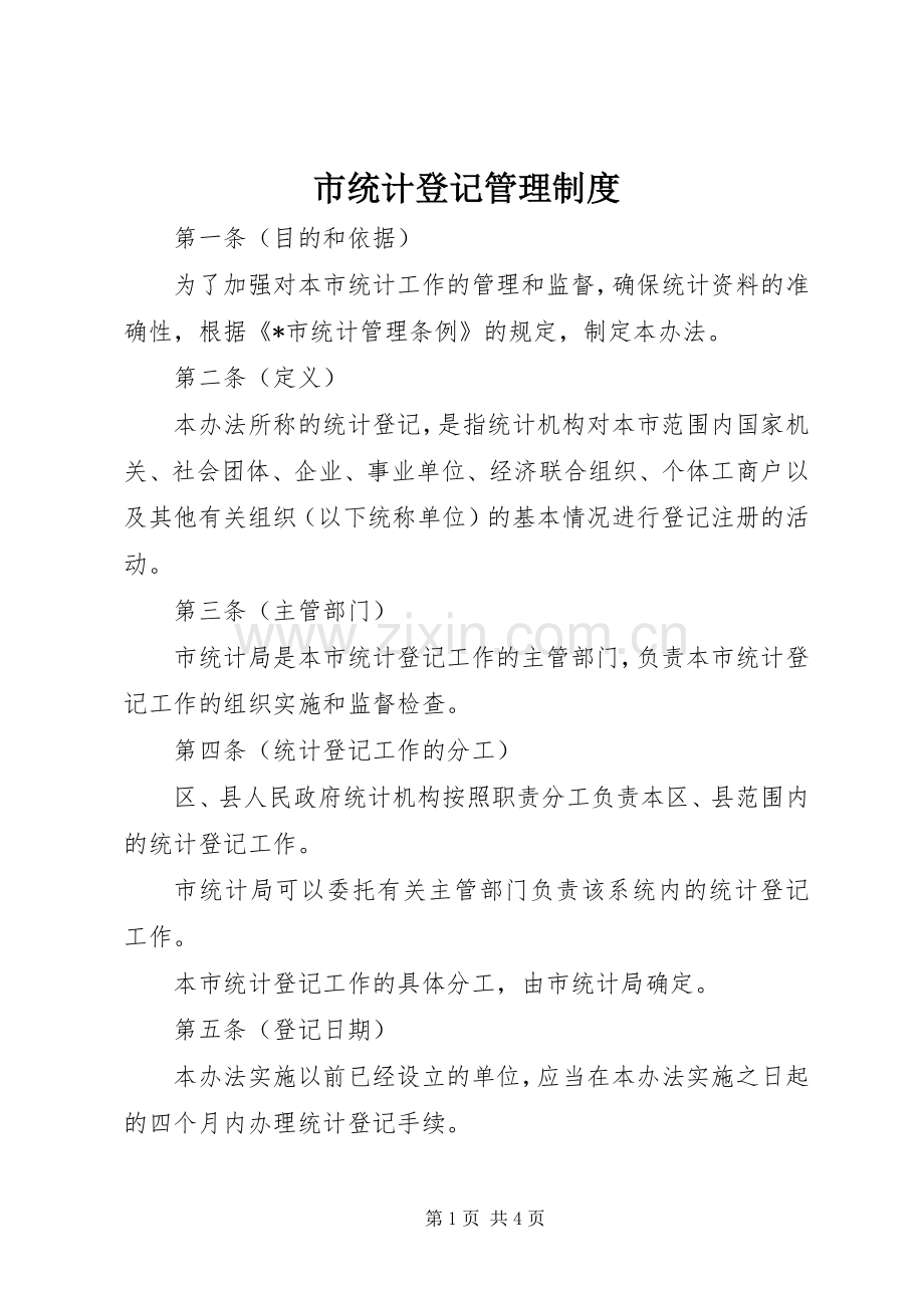 市统计登记管理规章制度.docx_第1页