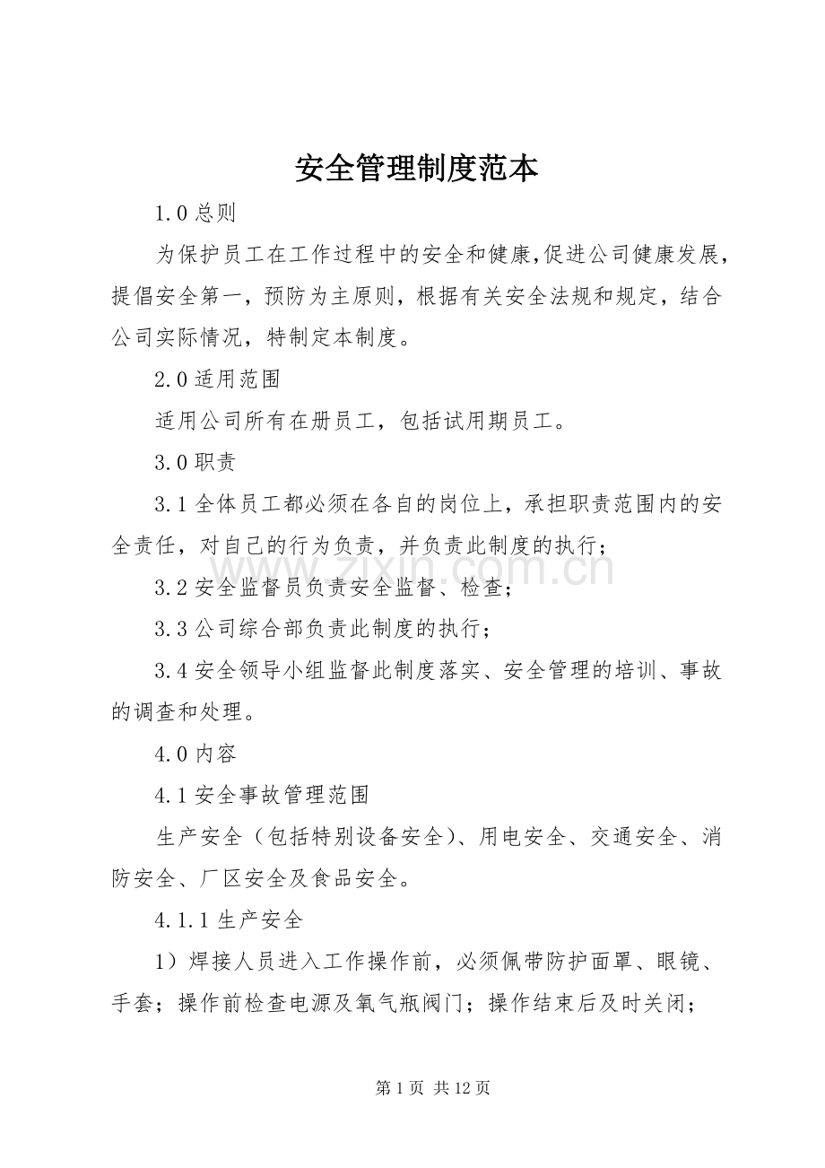 安全管理规章制度范本 .docx_第1页