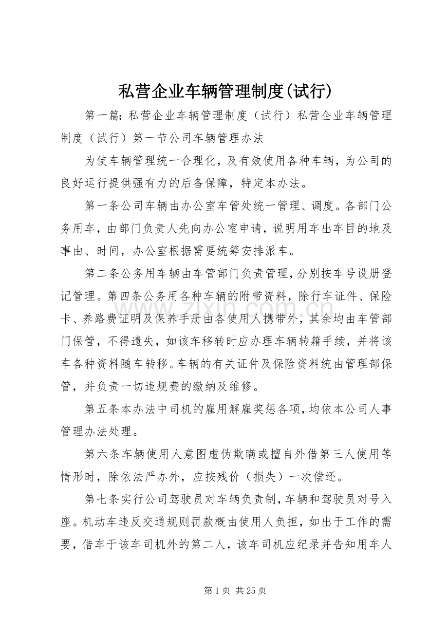 私营企业车辆管理规章制度(试行).docx_第1页