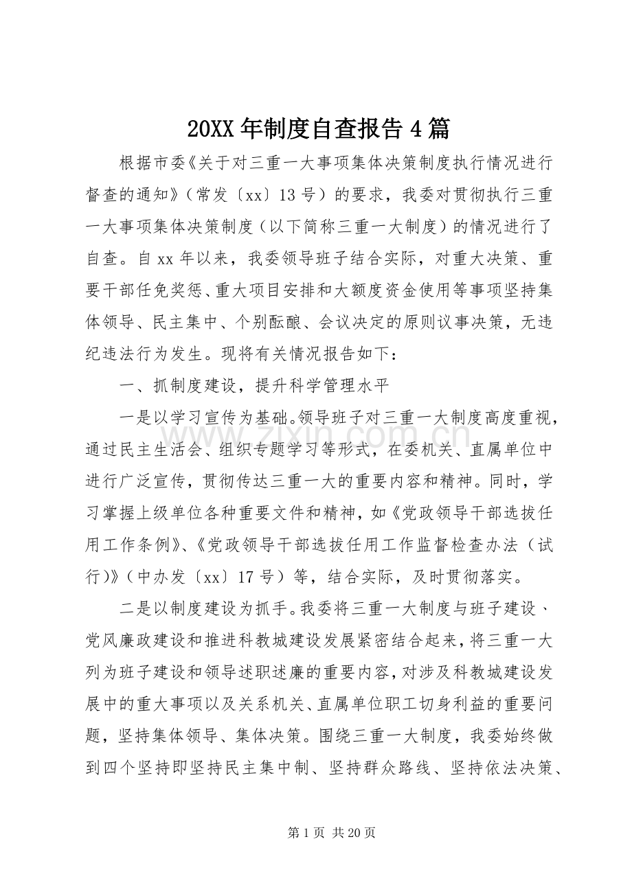 年规章制度自查报告篇 ().docx_第1页