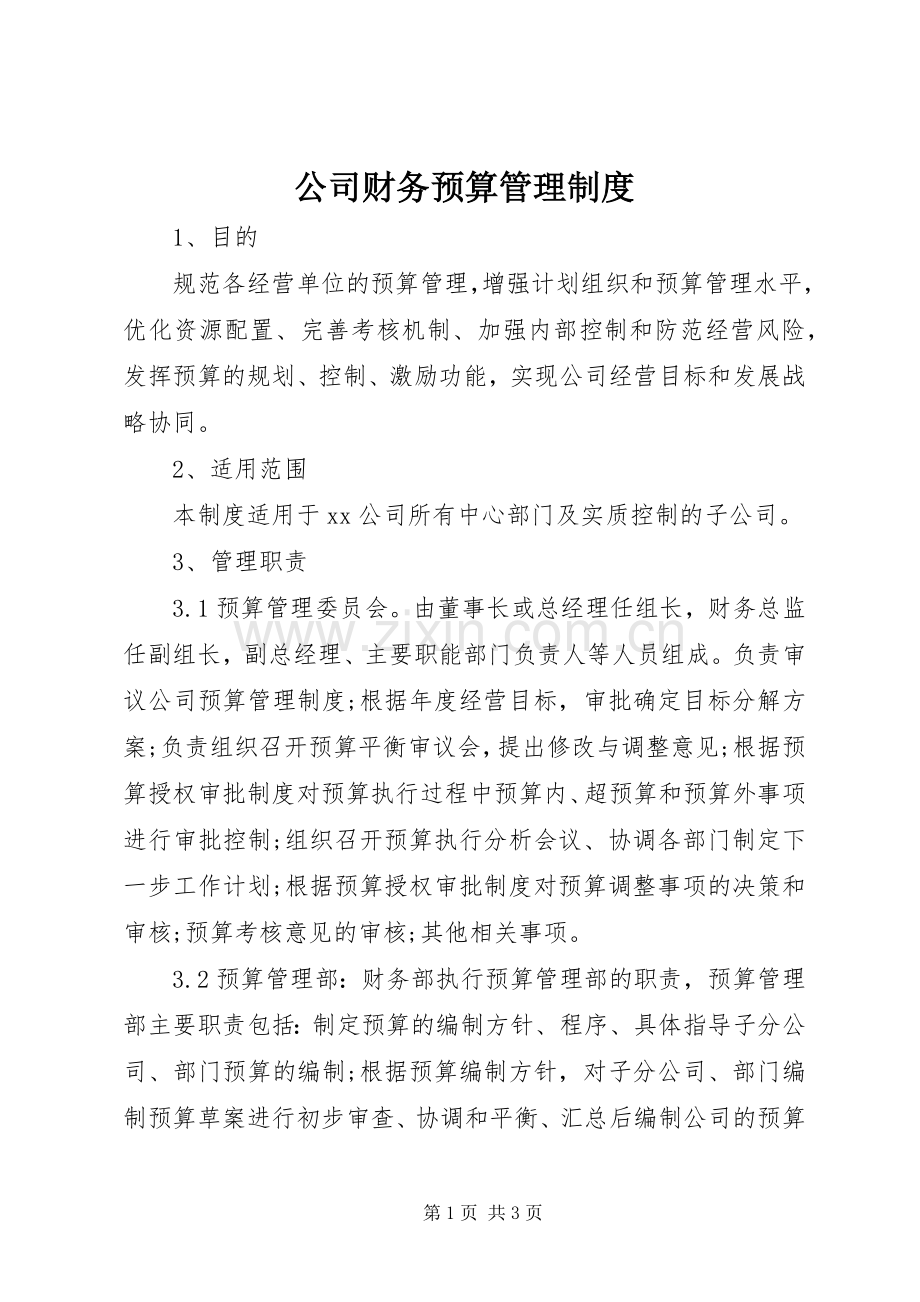 公司财务预算管理规章制度 (2).docx_第1页