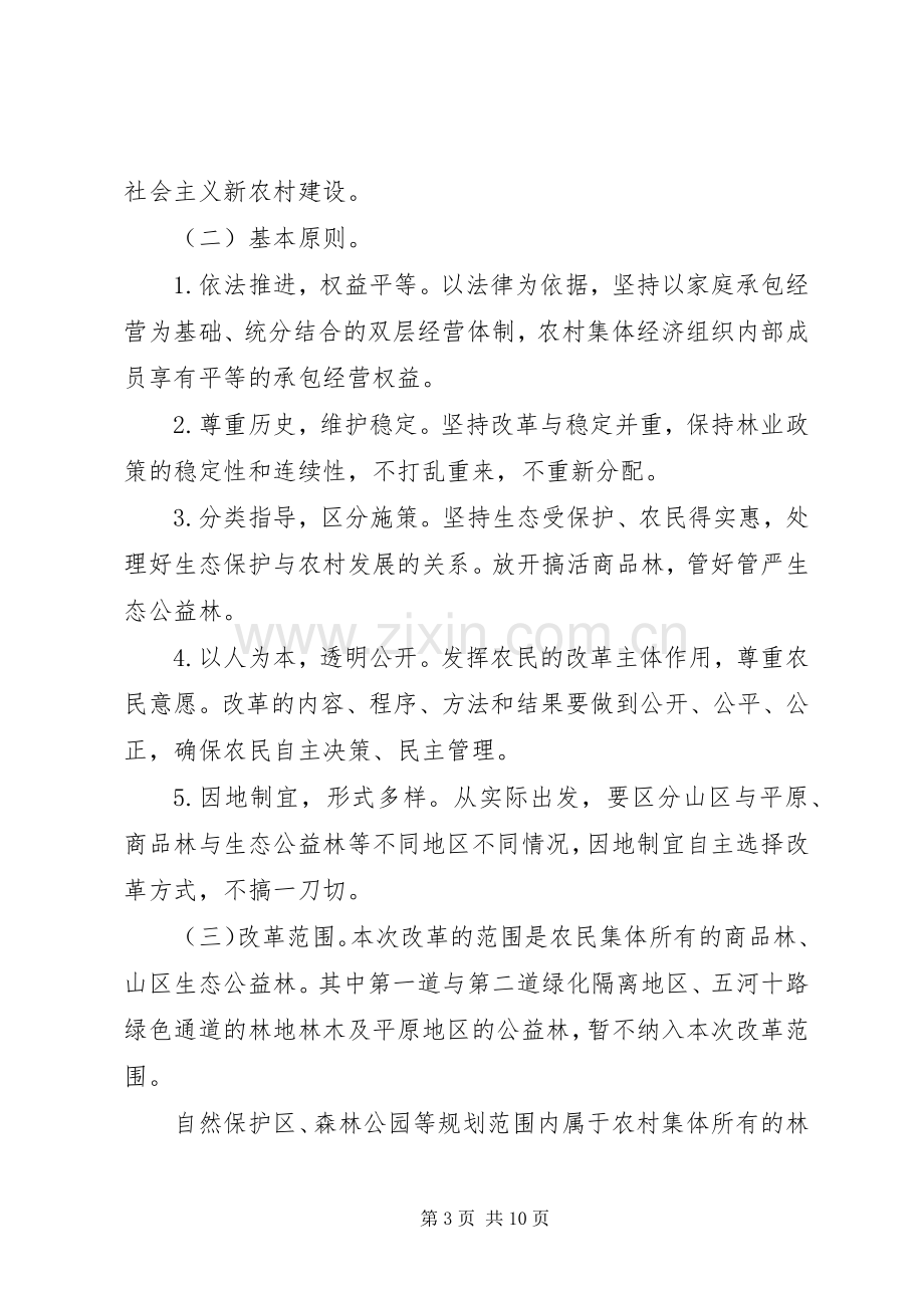 市政府集体林权规章制度改革意见.docx_第3页