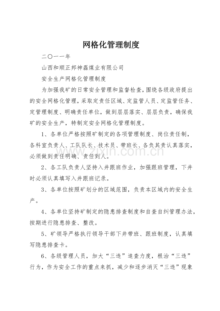 网格化管理规章制度细则.docx_第1页