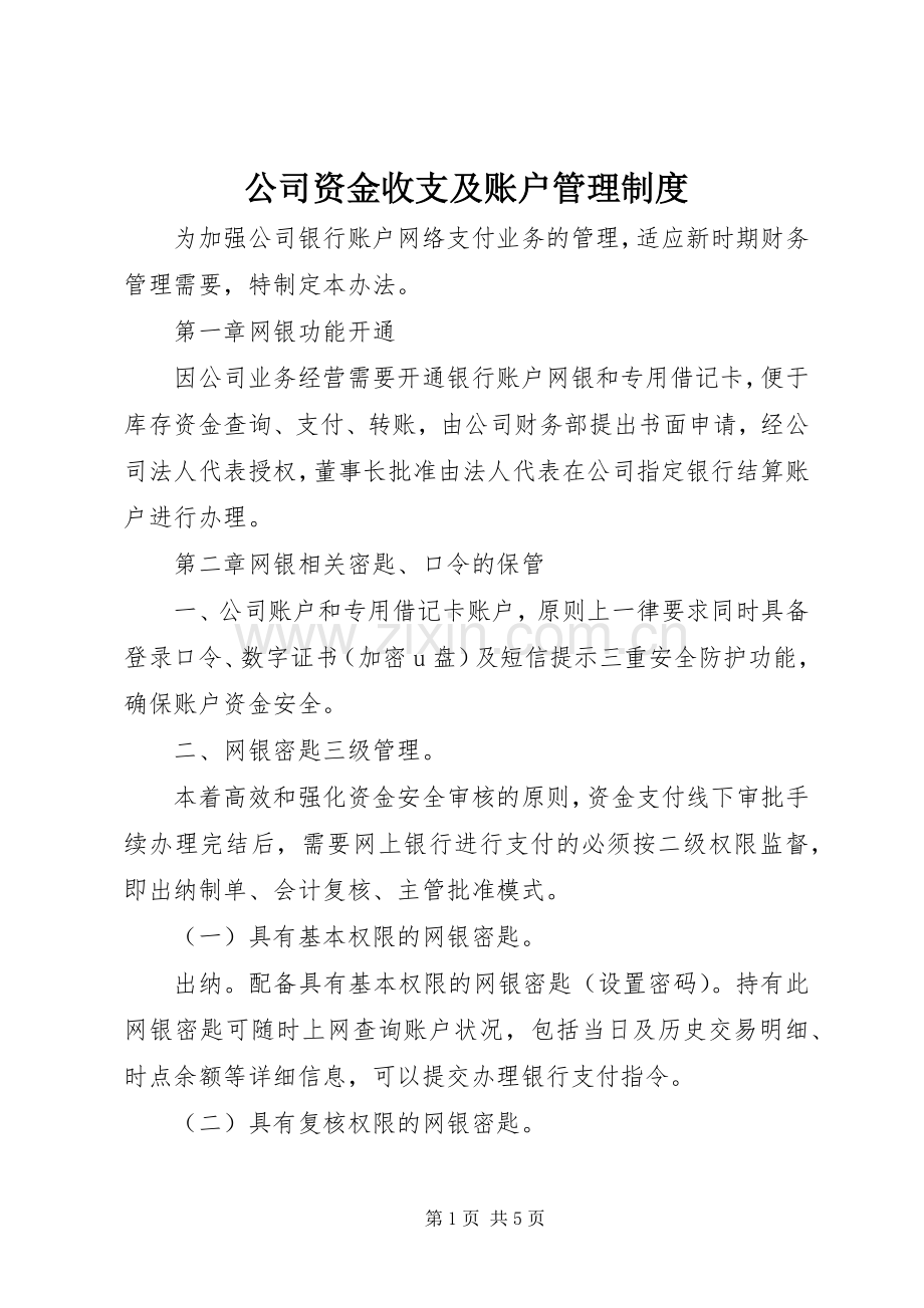 公司资金收支及账户管理规章制度.docx_第1页