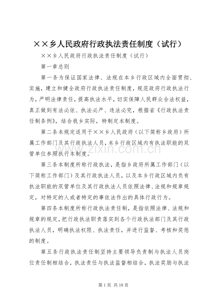 乡人民政府行政执法责任规章制度（试行） .docx_第1页