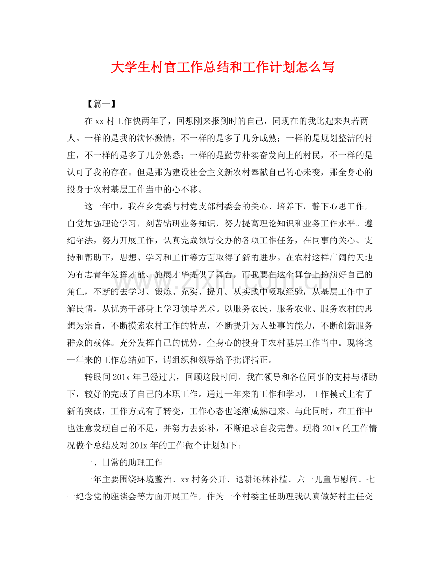 大学生村官工作总结和工作计划怎么写 .docx_第1页