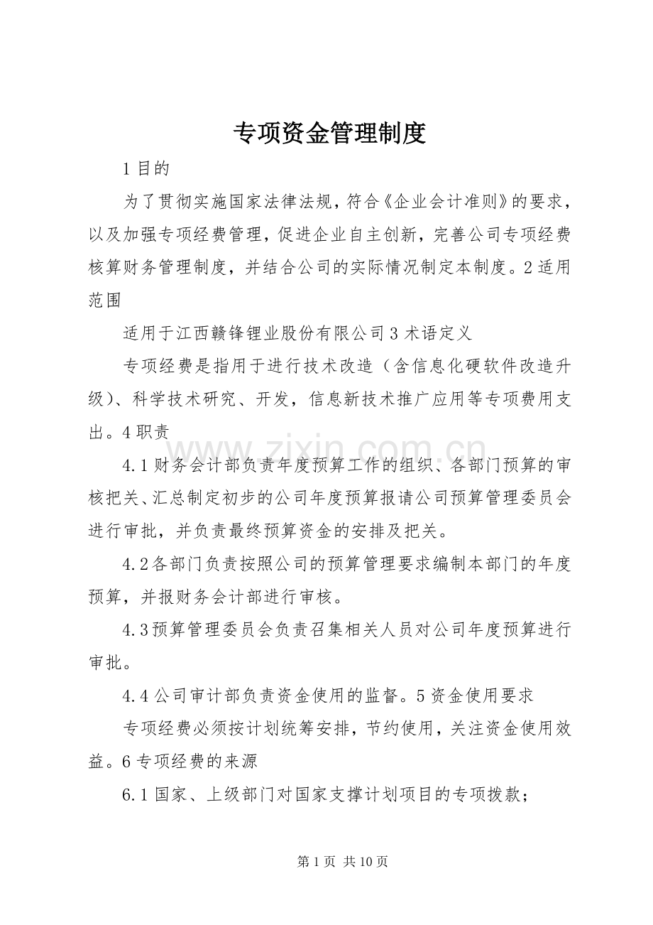 专项资金管理规章制度细则.docx_第1页