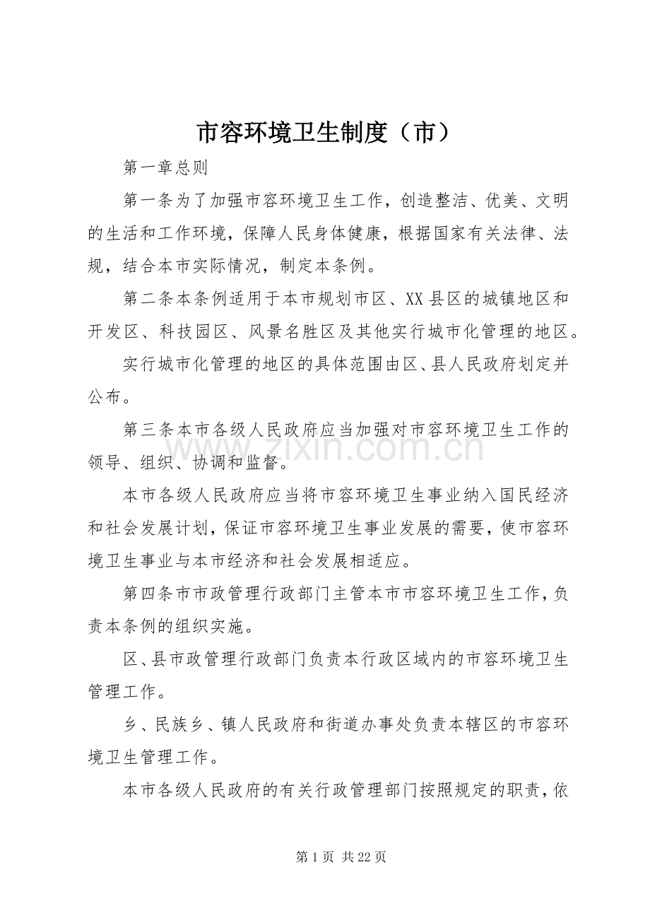 市容环境卫生规章制度（市）.docx_第1页