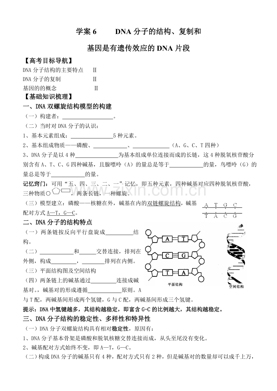 学案6 DNA分子的结构、复制和.doc_第1页