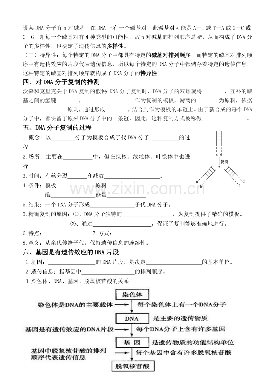 学案6 DNA分子的结构、复制和.doc_第2页