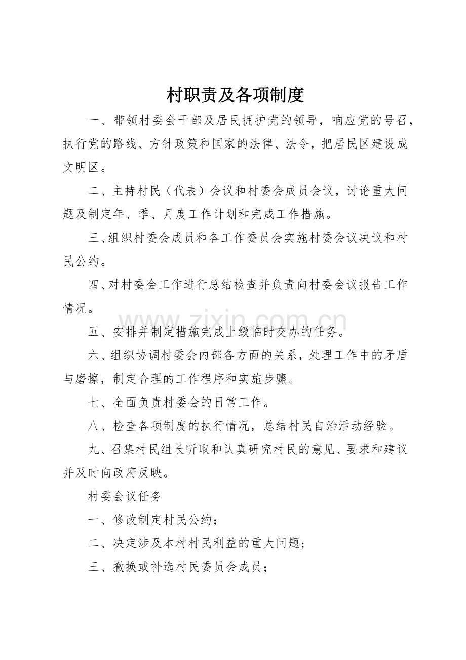 村职责要求及各项规章制度细则.docx_第1页