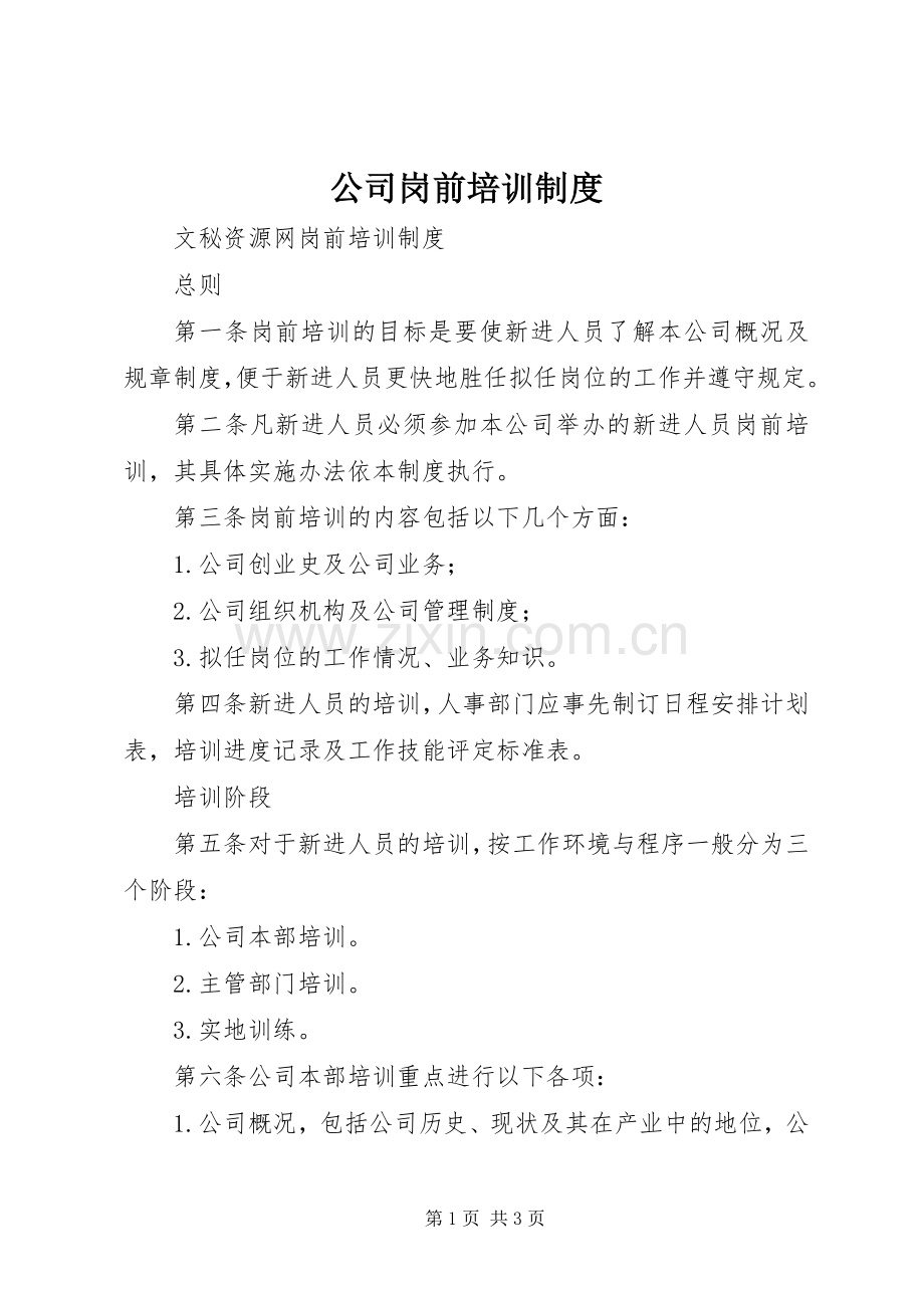 公司岗前培训规章制度 .docx_第1页