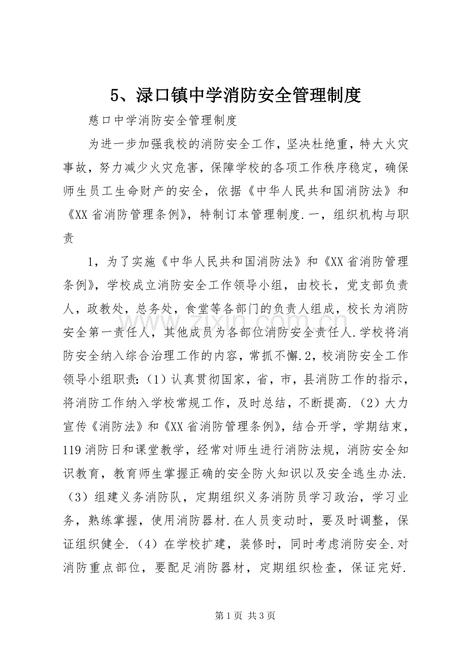 渌口镇中学消防安全管理规章制度.docx_第1页