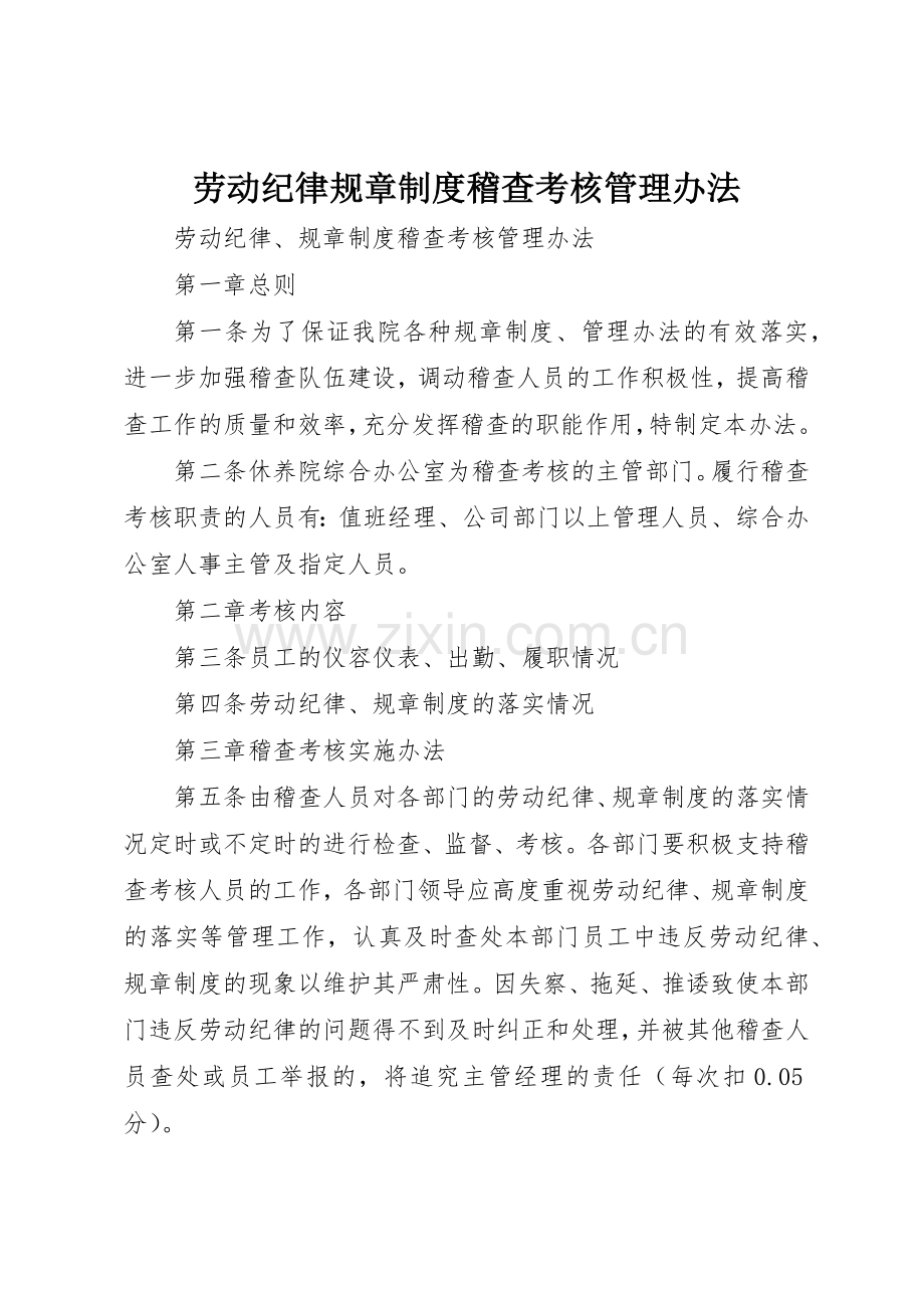 劳动纪律规章规章制度细则稽查考核管理办法.docx_第1页