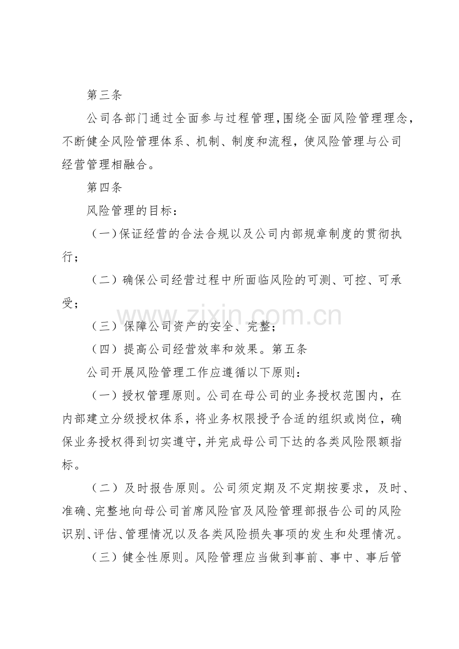 公司风险管理规章制度细则.docx_第2页