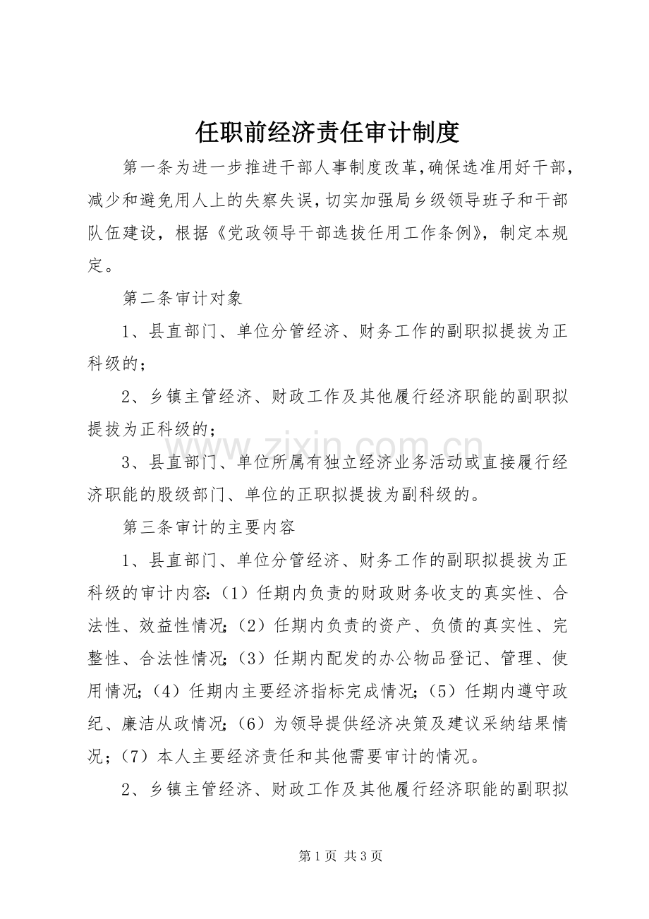 任职前经济责任审计规章制度.docx_第1页