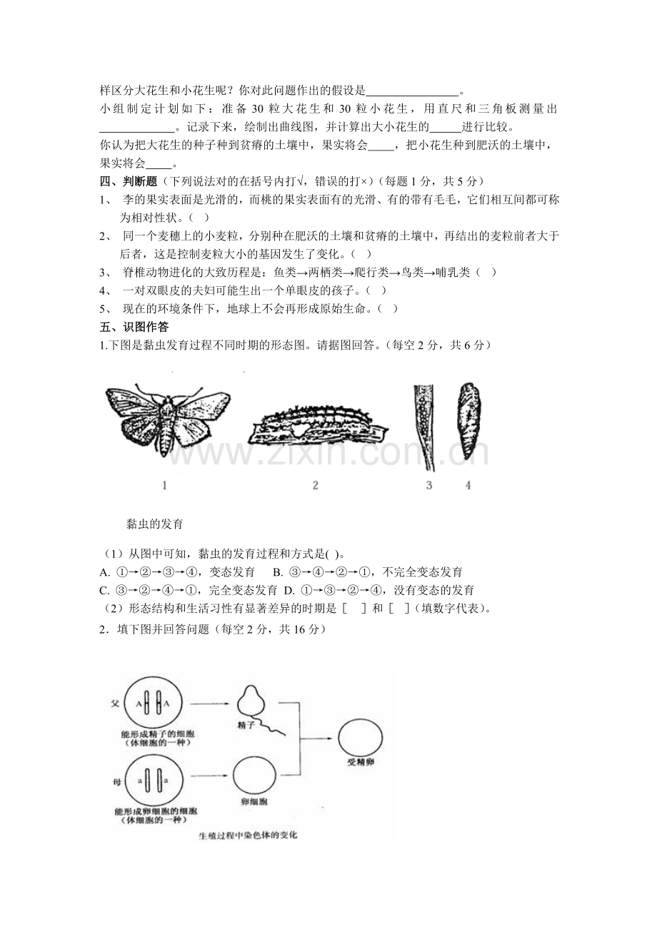 四川2010年春期八年级生物期末检测试题3.doc_第3页