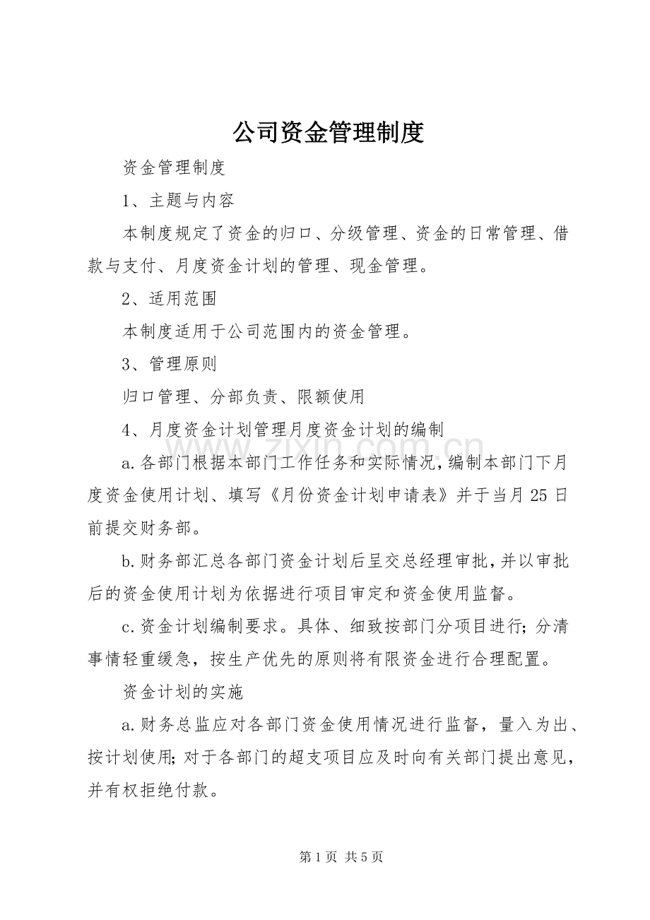 公司资金规章制度管理.docx_第1页