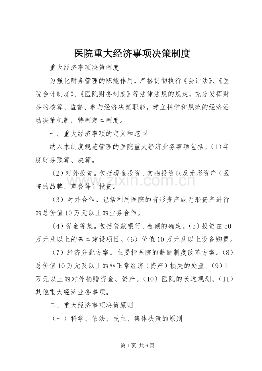 医院重大经济事项决策规章制度.docx_第1页