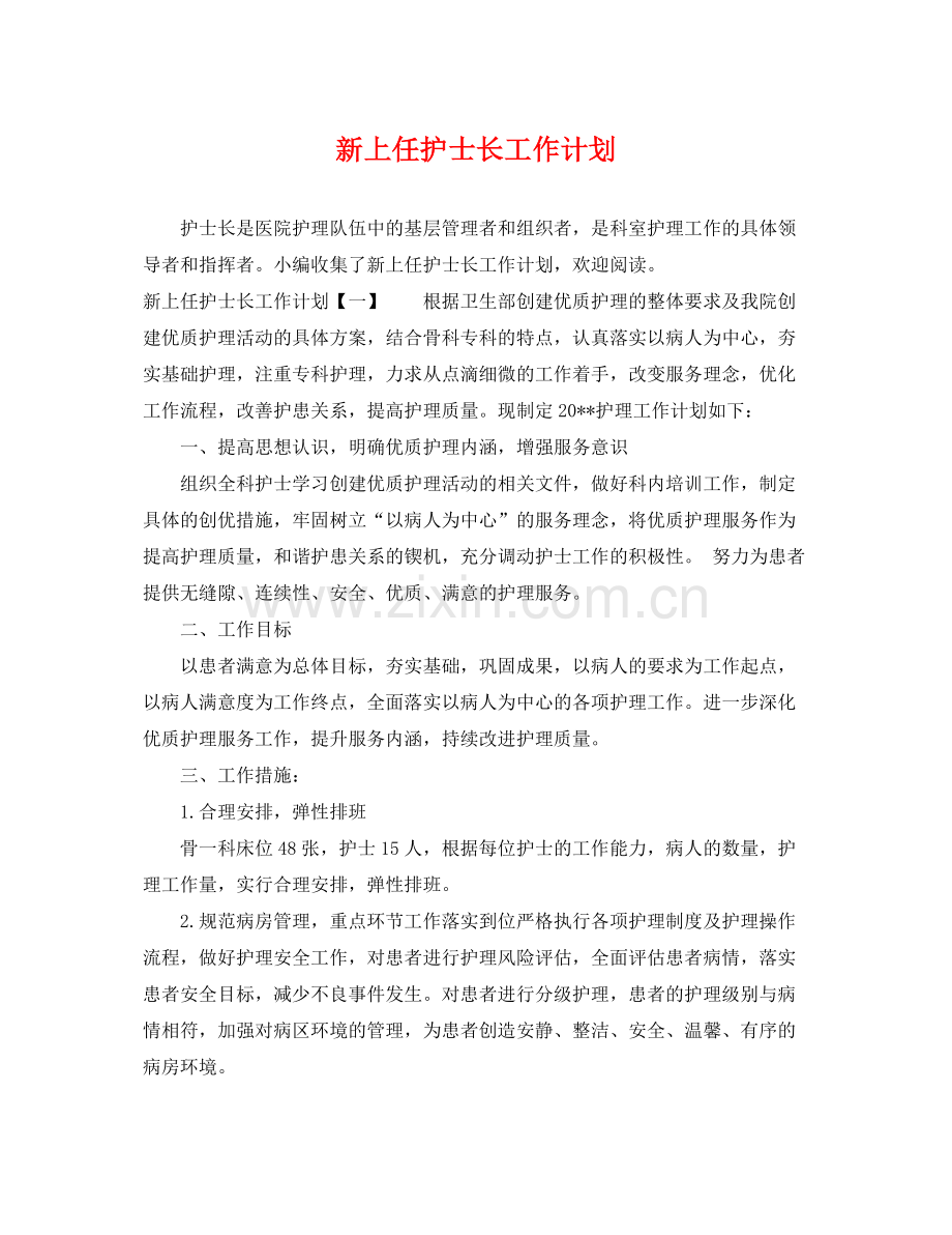 新上任护士长工作计划 .docx_第1页