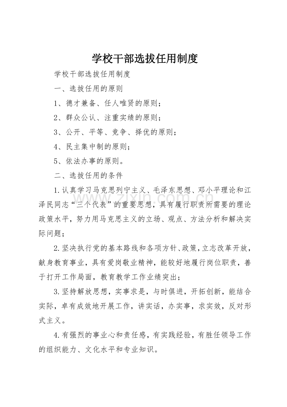 学校干部选拔任用规章制度细则.docx_第1页