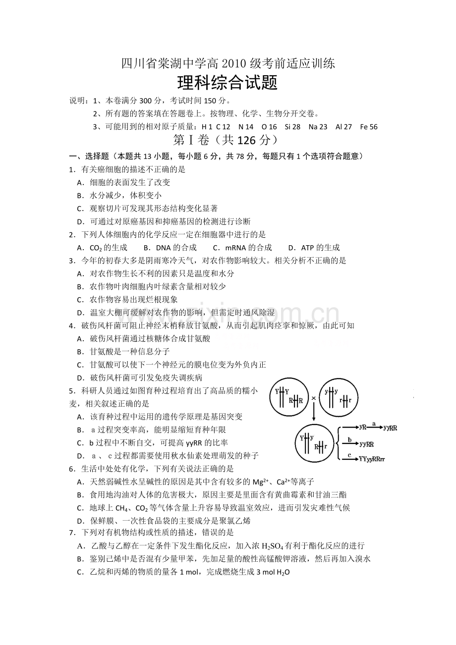 四川省棠湖中学2010年高考前适应训练理科综合试题与答案.doc_第1页