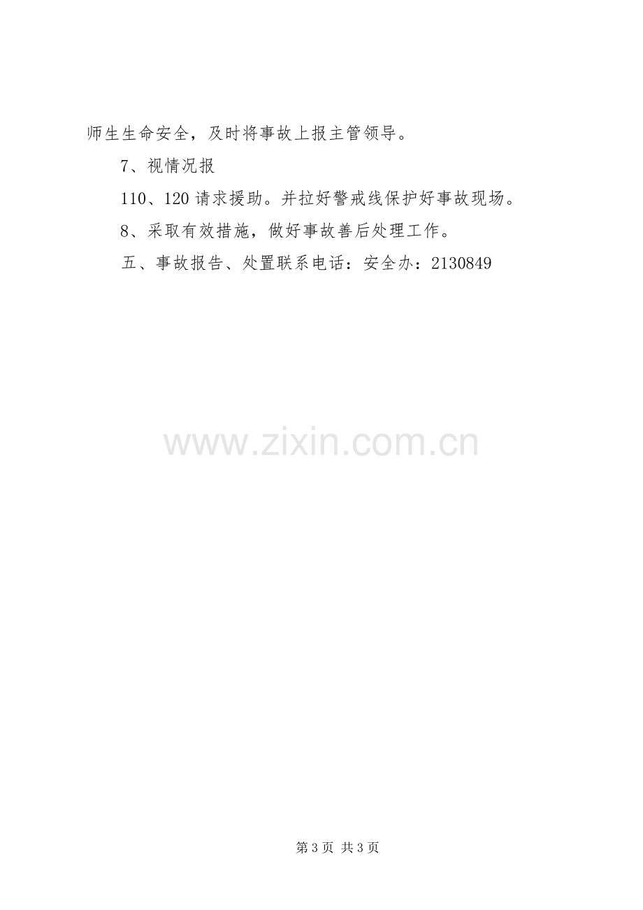 学校集会及大型活动安全管理规章制度.docx_第3页