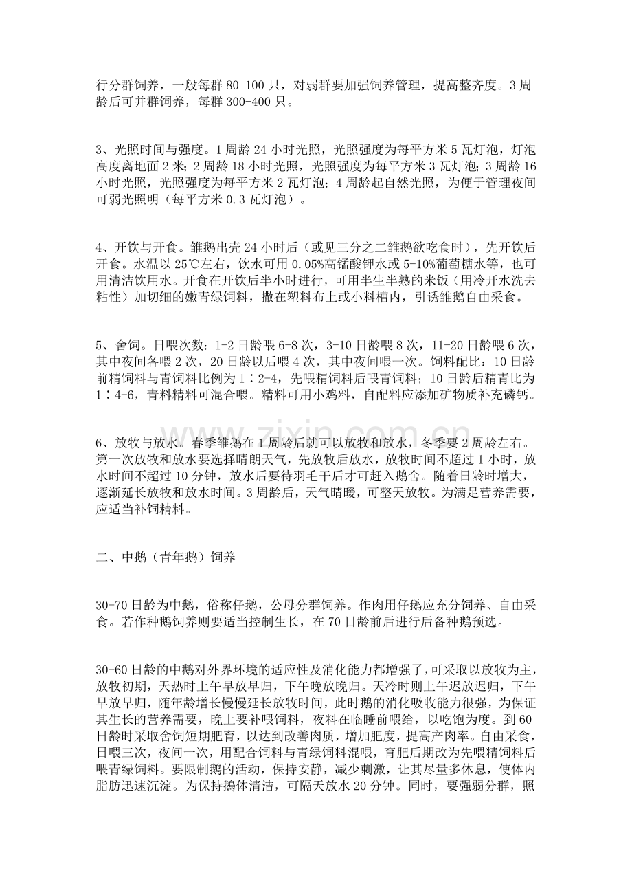 白鹅养殖技术.doc_第2页