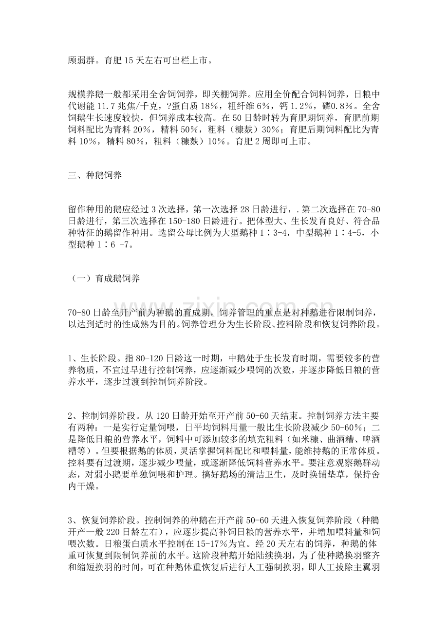 白鹅养殖技术.doc_第3页