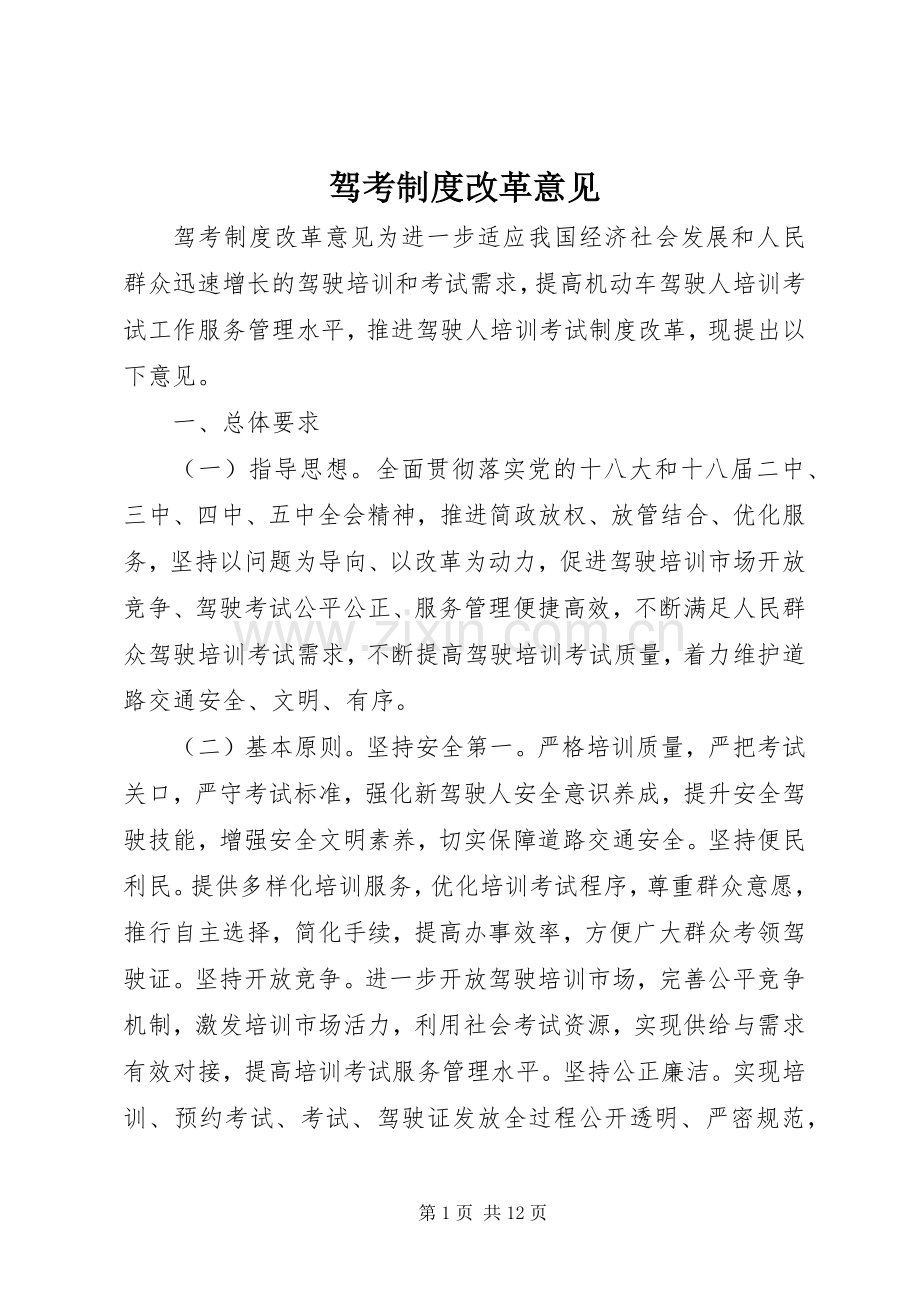 驾考规章制度改革意见.docx_第1页