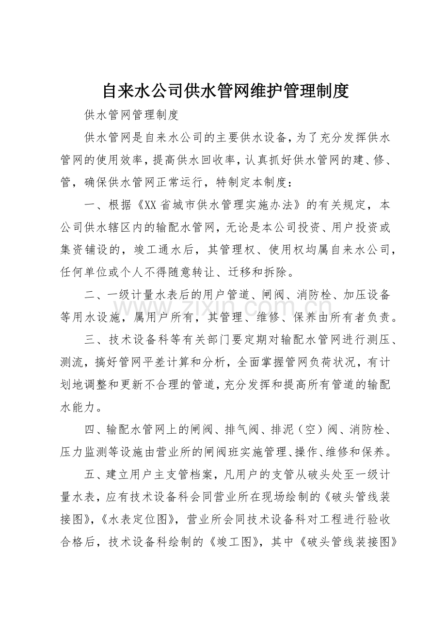 自来水公司供水管网维护管理规章制度细则.docx_第1页