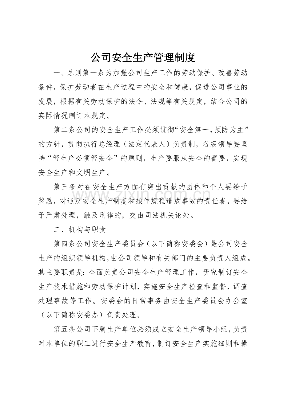 公司安全生产管理规章制度细则.docx_第1页