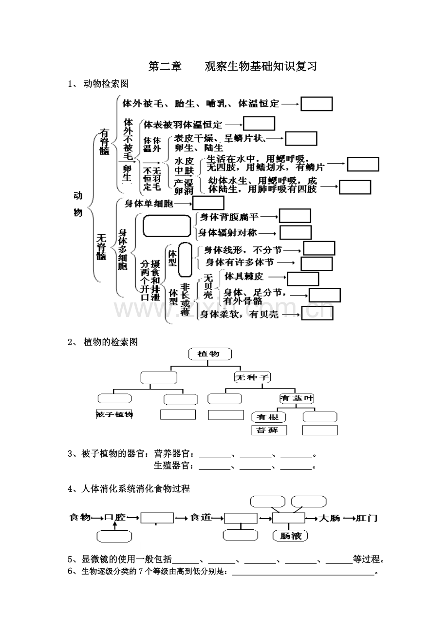 第二章基础知识复习.doc_第1页