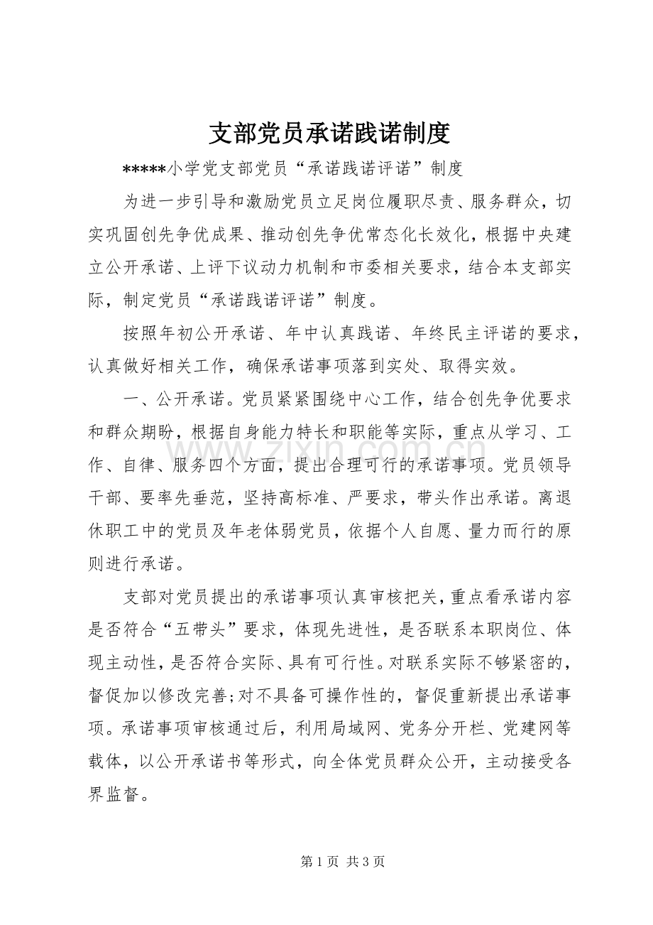 支部党员承诺践诺规章制度.docx_第1页