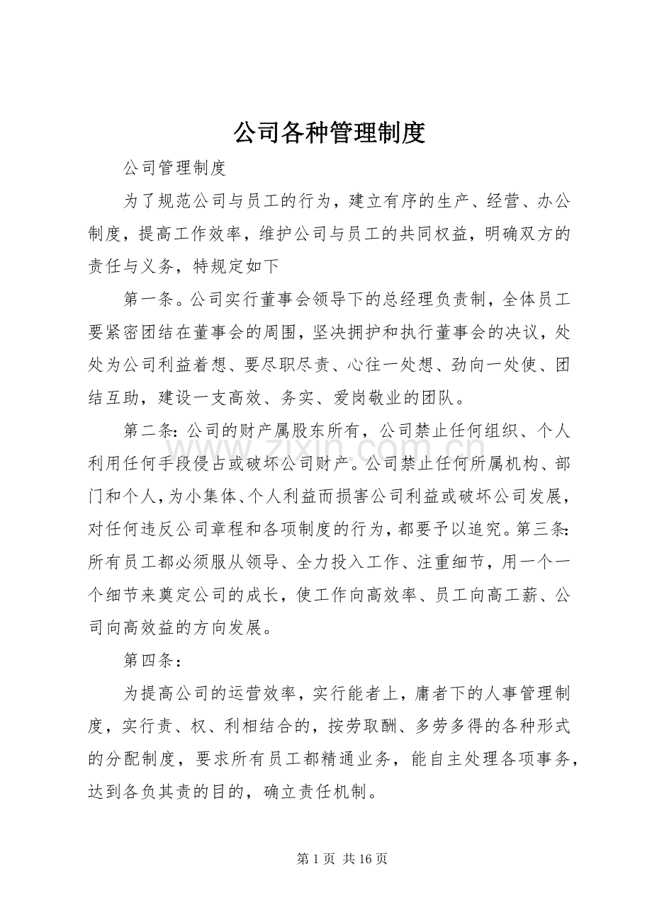 公司各种管理规章制度(3).docx_第1页