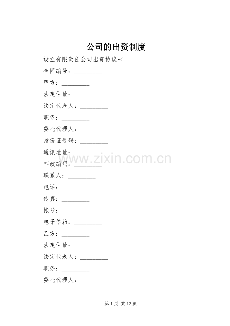 公司的出资规章制度细则.docx_第1页