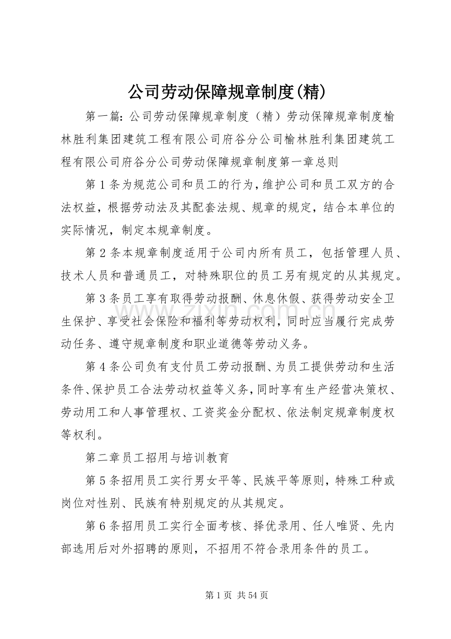 公司劳动保障规章规章制度.docx_第1页