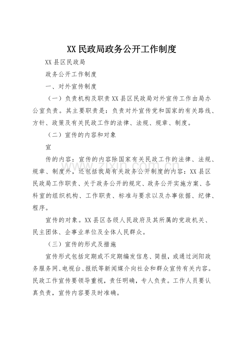 民政局政务公开工作规章制度细则.docx_第1页