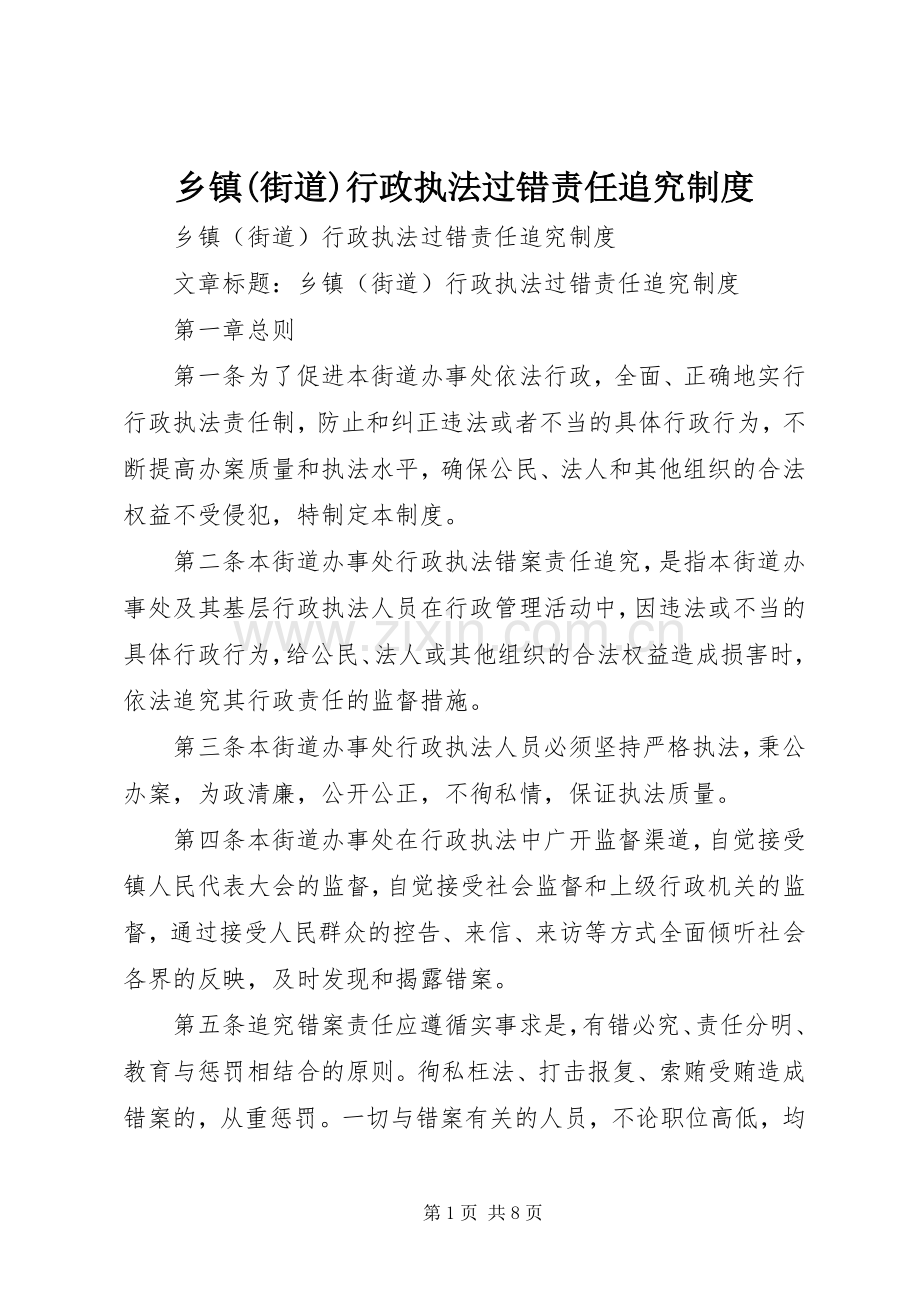 乡镇(街道)行政执法过错责任追究规章制度细则.docx_第1页