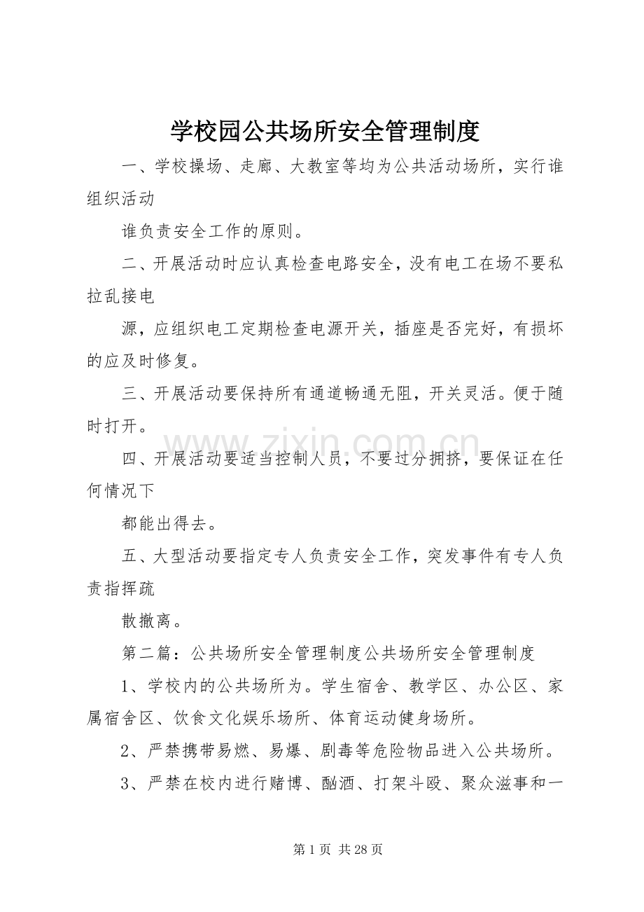 学校园公共场所安全管理规章制度.docx_第1页