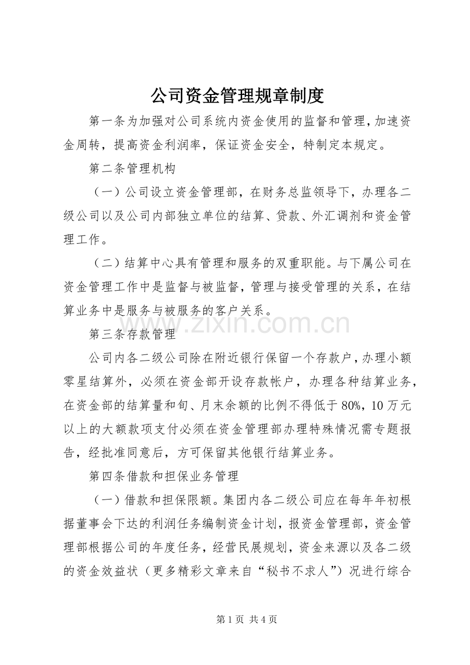 公司资金管理规章规章制度 (2).docx_第1页