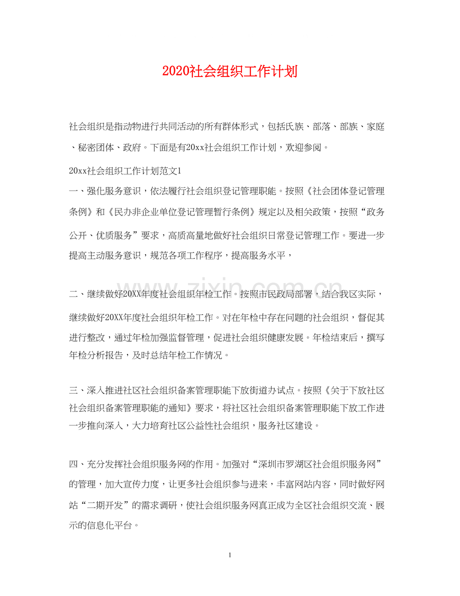 社会组织工作计划.docx_第1页