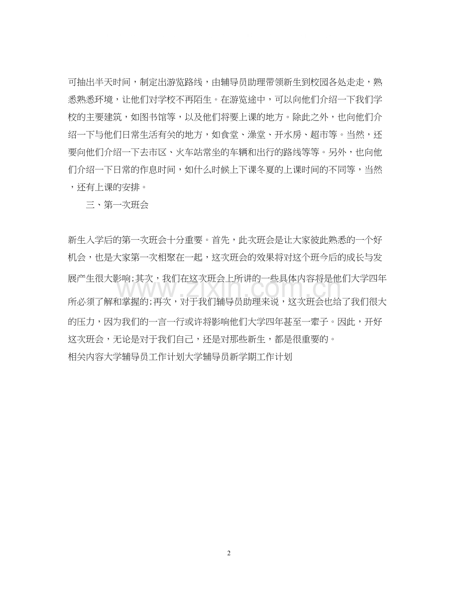 大学辅导员助理工作计划范文.docx_第2页