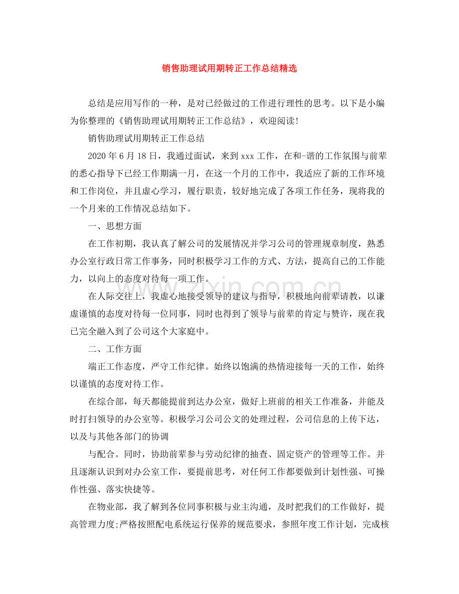 销售助理试用期转正工作总结.docx_第1页