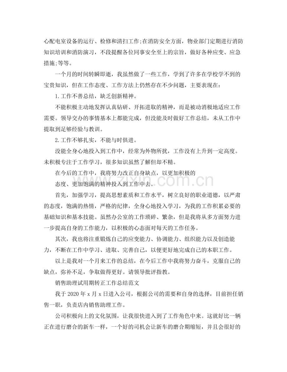 销售助理试用期转正工作总结.docx_第2页