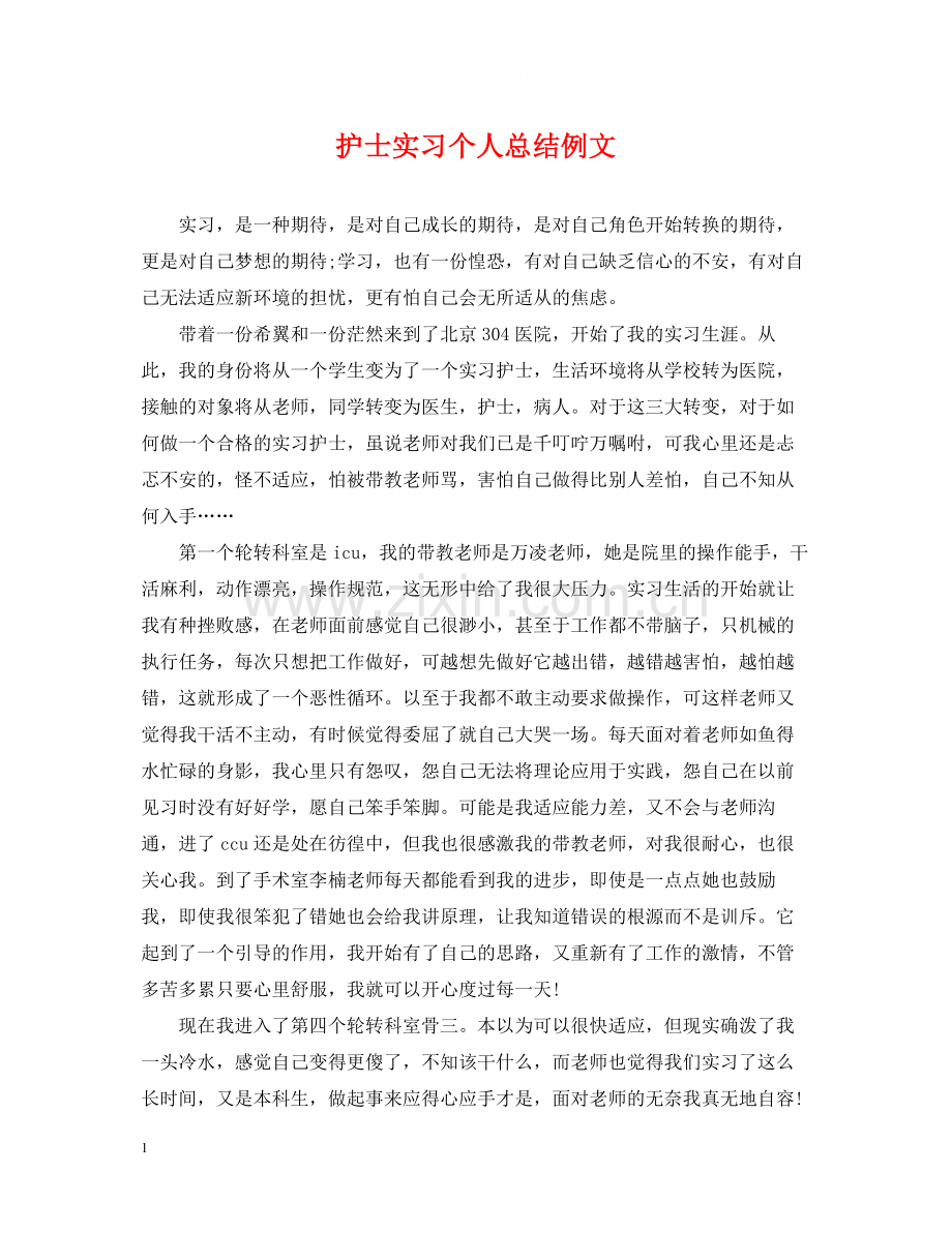 护士实习个人总结例文.docx_第1页