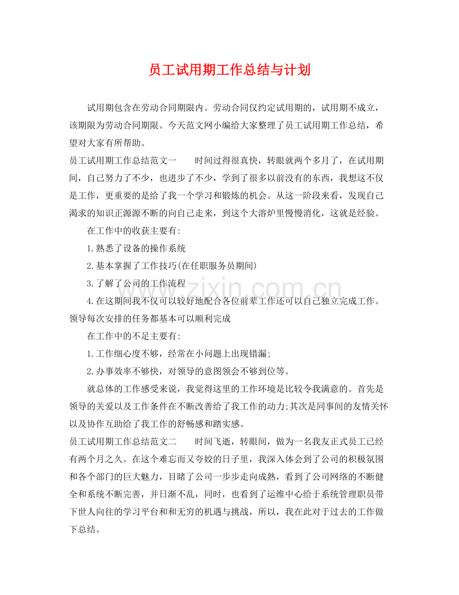 员工试用期工作总结与计划 .docx_第1页