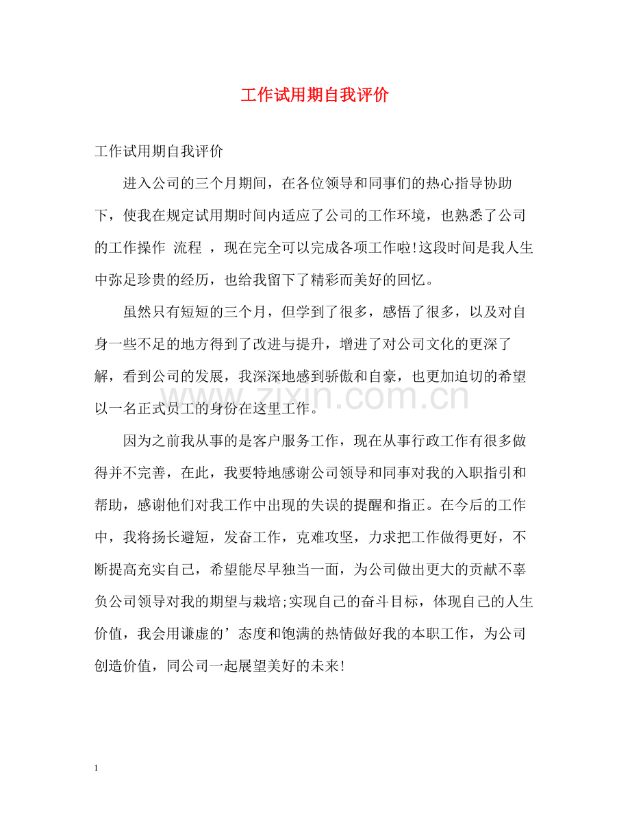 工作试用期自我评价.docx_第1页