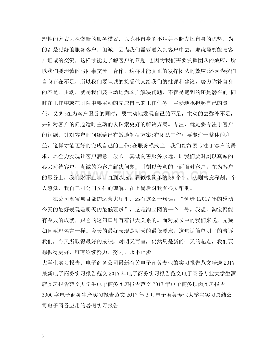 电子商务实习报告总结2.docx_第3页