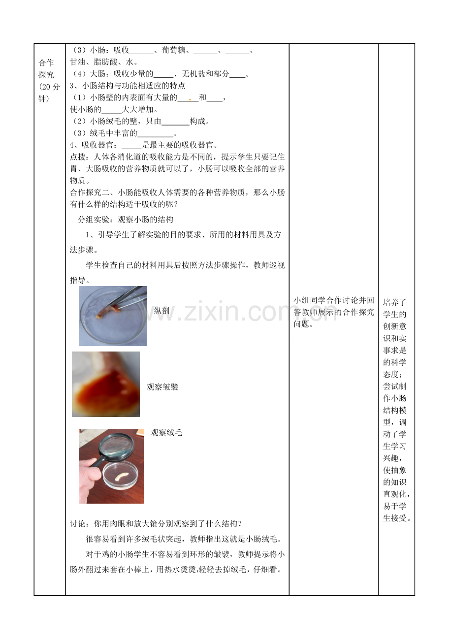 山东省滕州市大坞镇大坞中学七年级生物下册 3.1.2 消化和吸收（第3课时）教案 济南版.doc_第3页